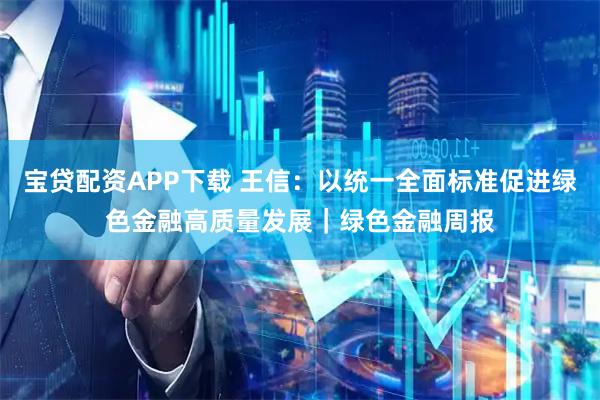 宝贷配资APP下载 王信：以统一全面标准促进绿色金融高质量发展｜绿色金融周报