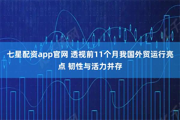 七星配资app官网 透视前11个月我国外贸运行亮点 韧性与活力并存